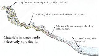 1.+Settling+velocity