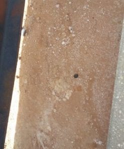 Pumping Unit - Jensen 114-173-64 with Cement Pad E15 20180706_164143-114-Jensen-Pumping-Unit